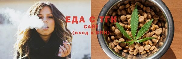 индика Кинешма