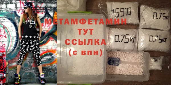индика Кинешма