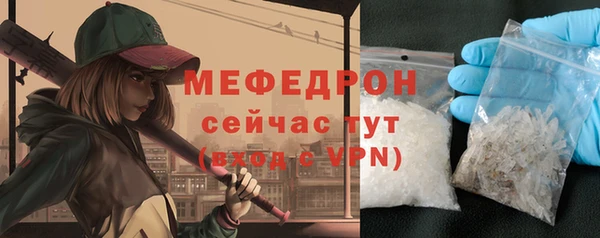 индика Кинешма