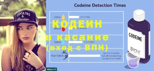 индика Кинешма