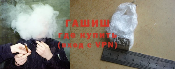 индика Кинешма