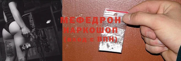 индика Кинешма