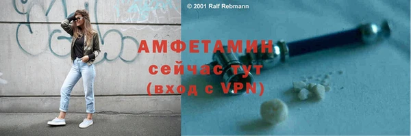 индика Кинешма