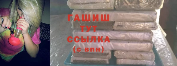 индика Кинешма