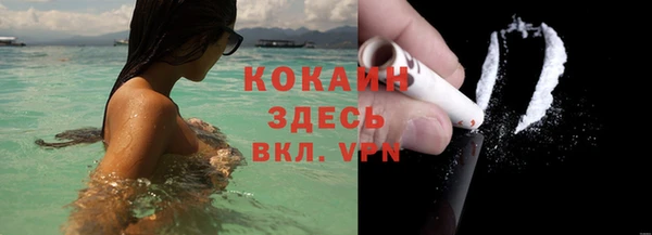 индика Кинешма