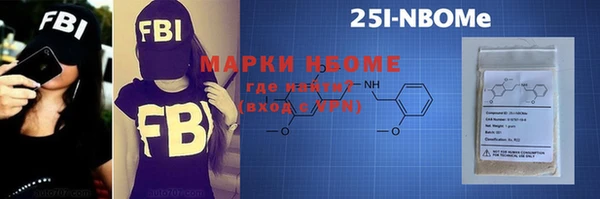 индика Кинешма