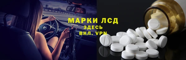 индика Кинешма
