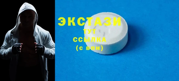 индика Кинешма