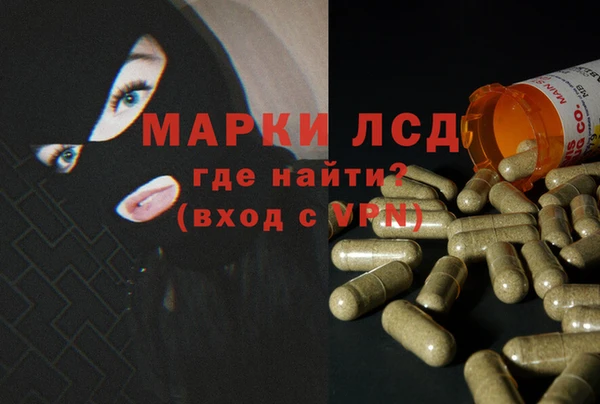 индика Кинешма