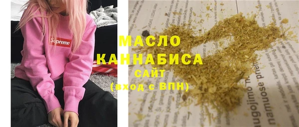 индика Кинешма